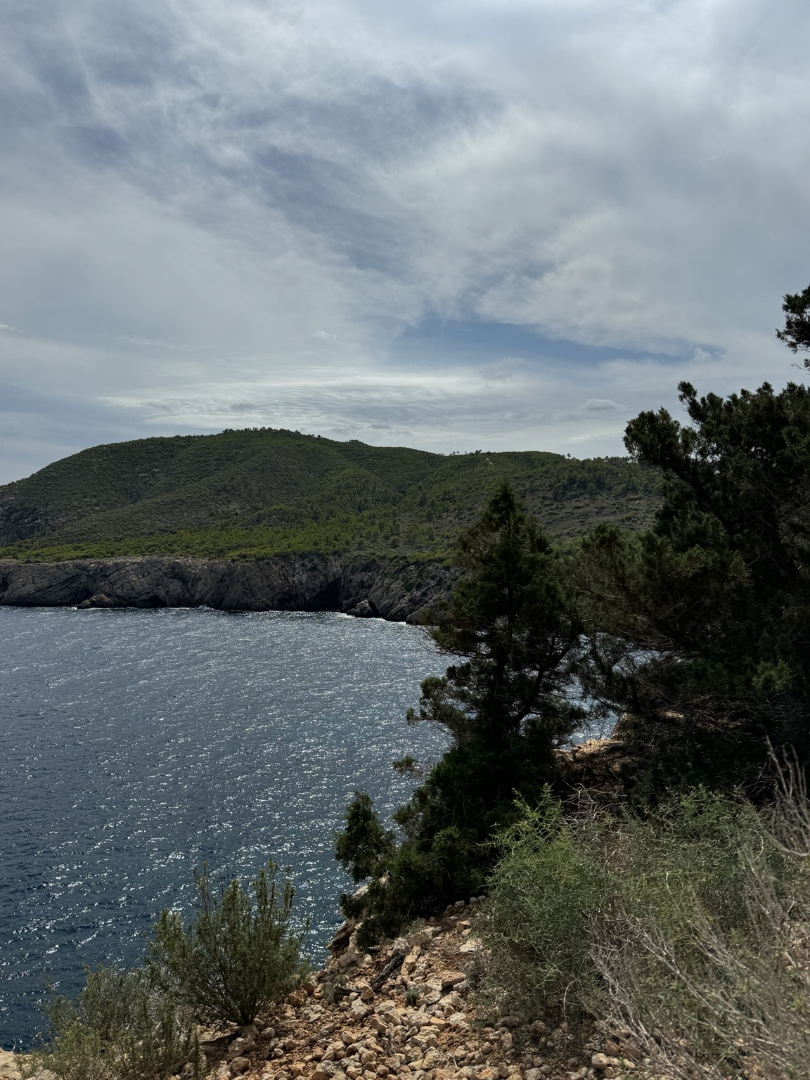 View across a sunlit bay to pine-covered cliffs on the Ibiza coast during a group walk.